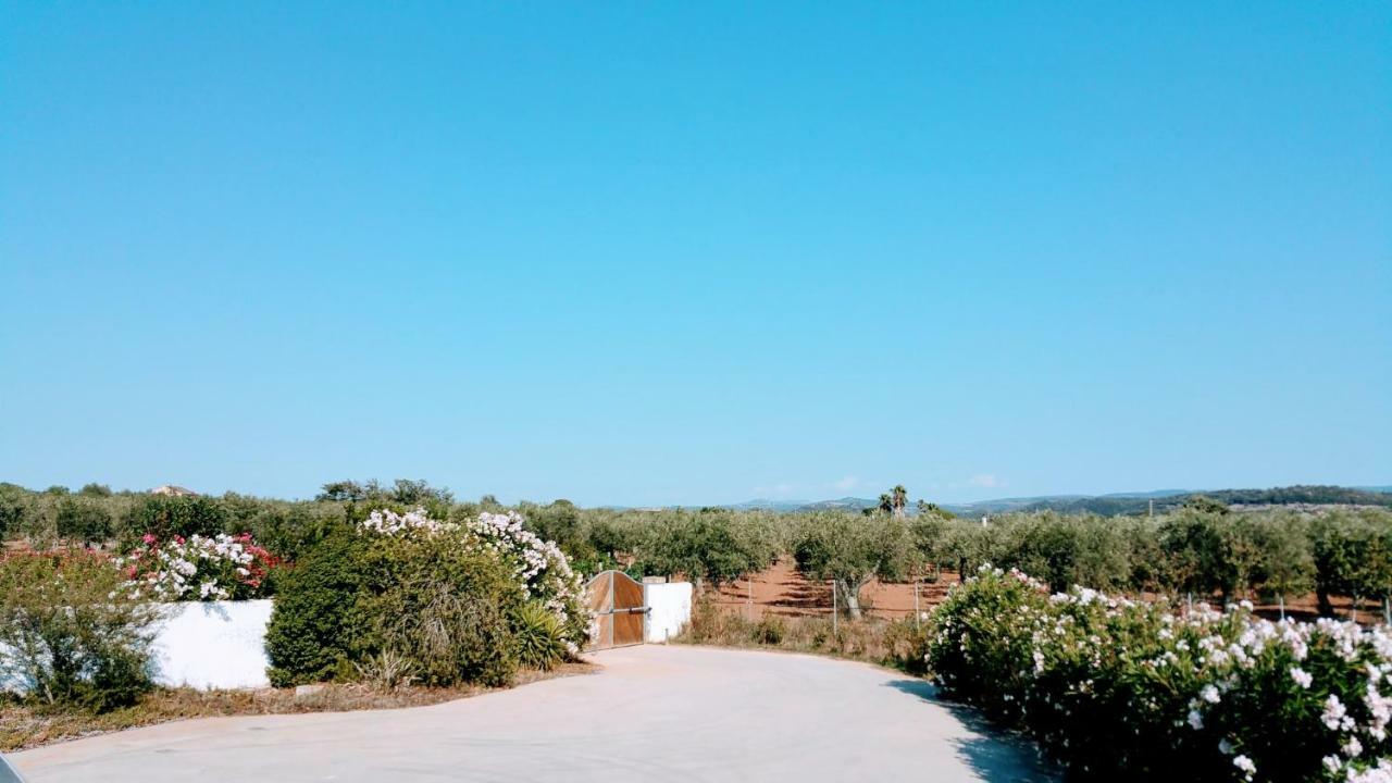 Villa Rafael Con Piscina, Iun P4098 Alguer Exterior foto